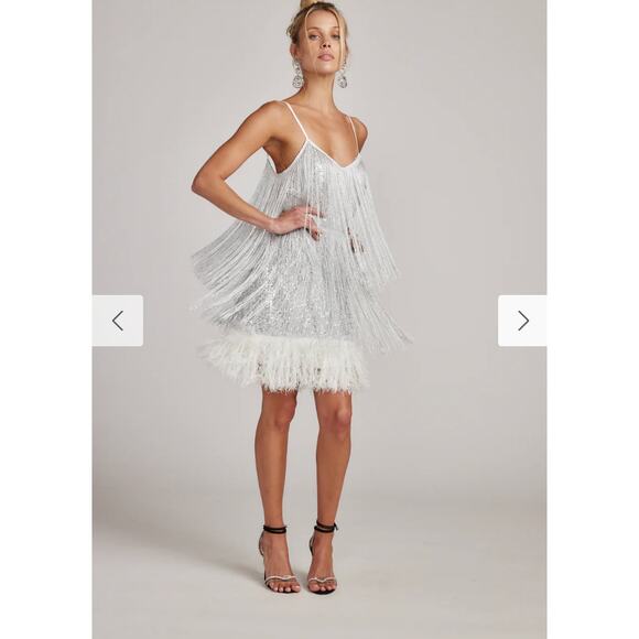 Disco Fever Silver Fringe Mini Dress - Picture 5 of 13